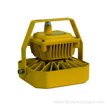 60W EXPLOSION PROOF LIGHT